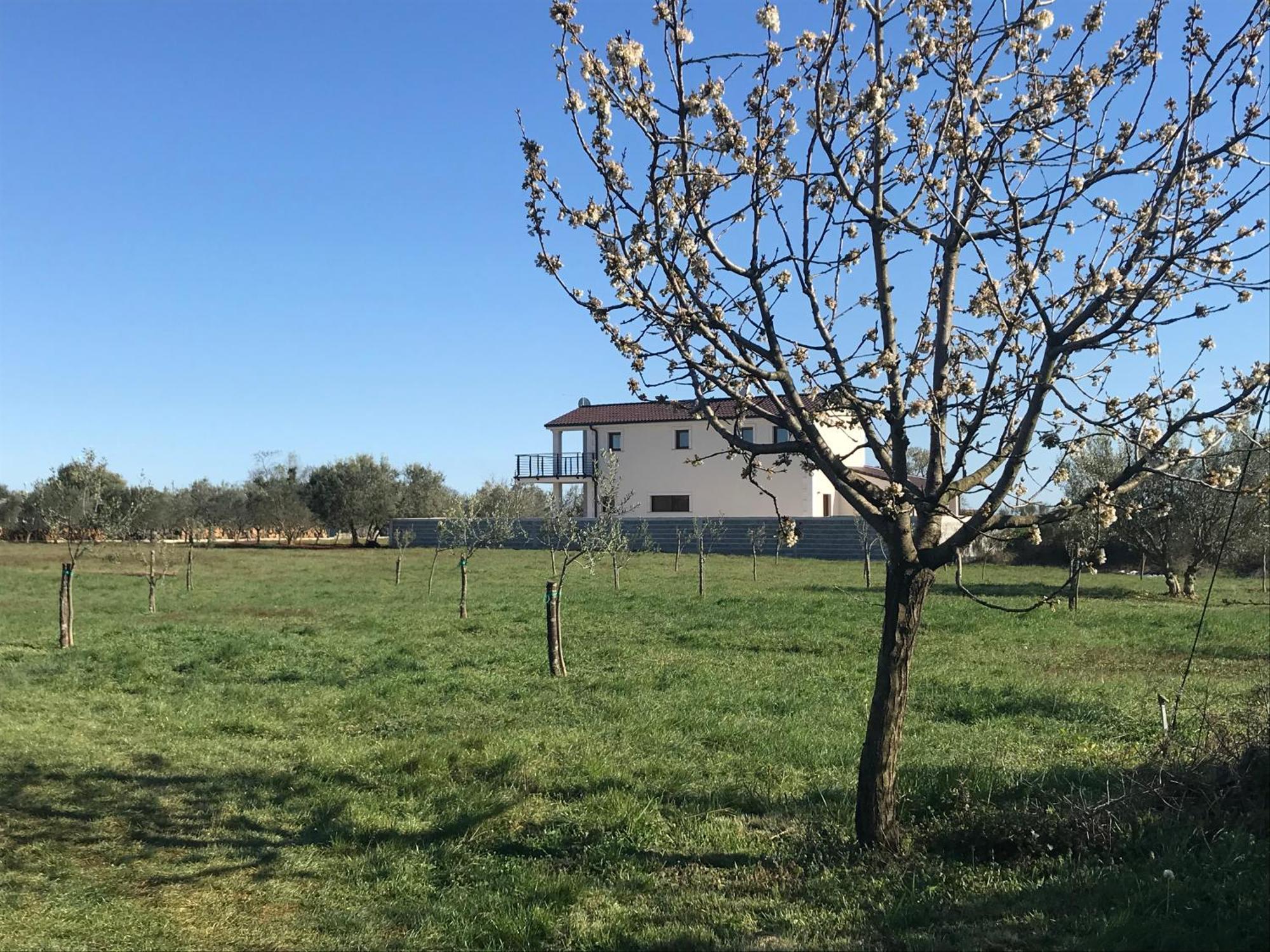 Villa Lydia Marčana المظهر الخارجي الصورة