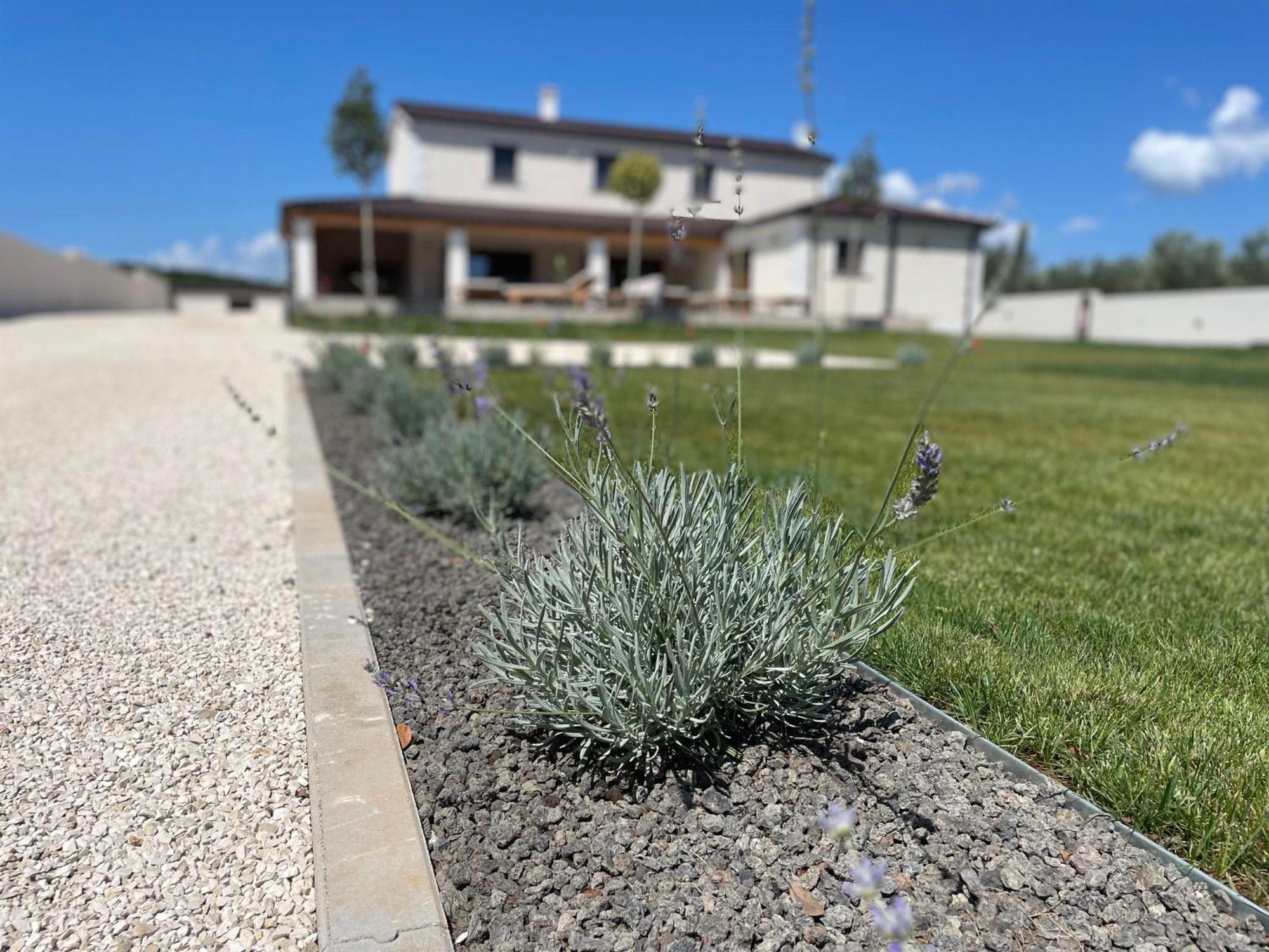 Villa Lydia Marčana المظهر الخارجي الصورة